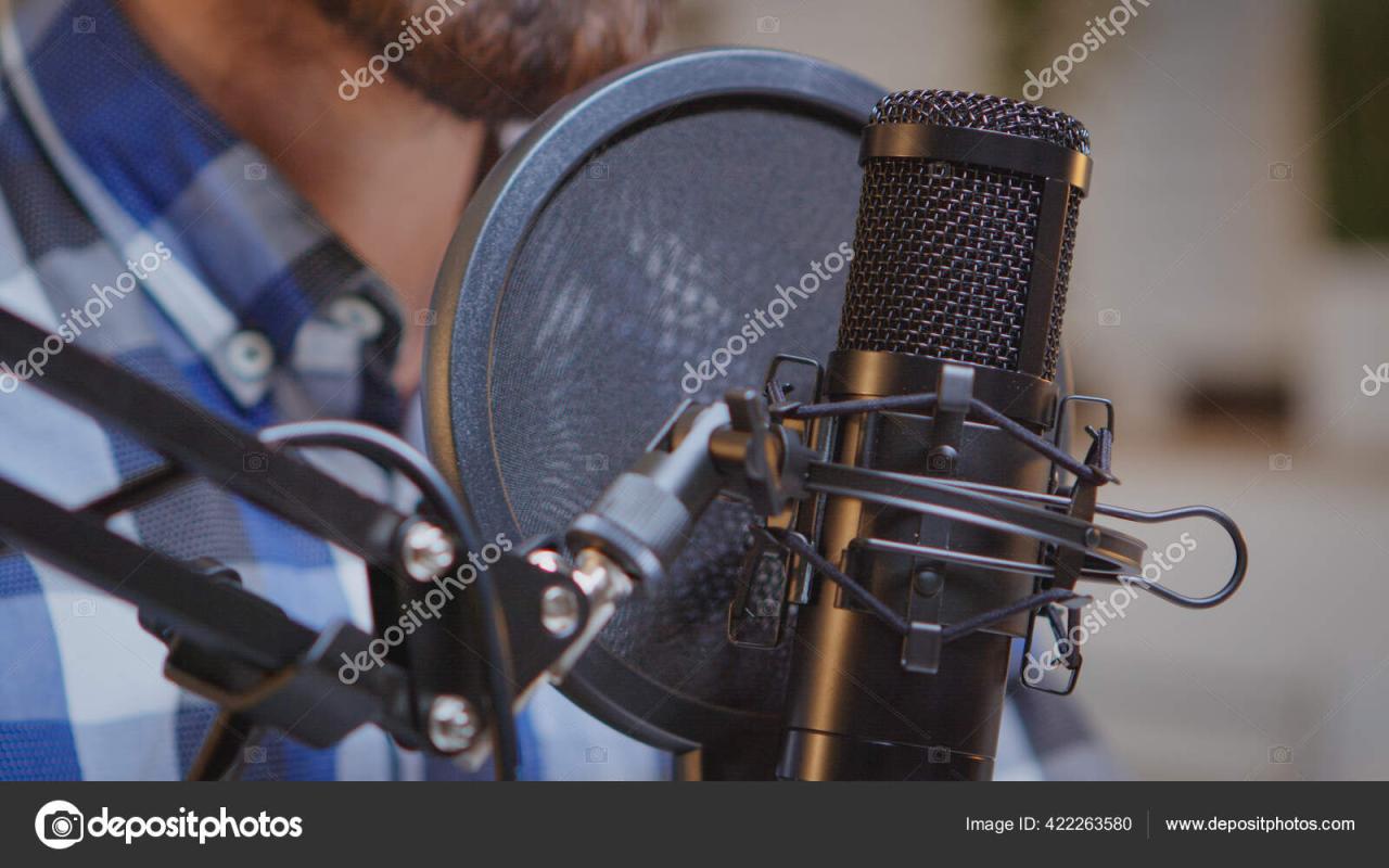 Using professional microphone Stock Photo by ©DragosCondreaW 422263580